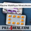 Racine Maléfique Miraculeuse new12